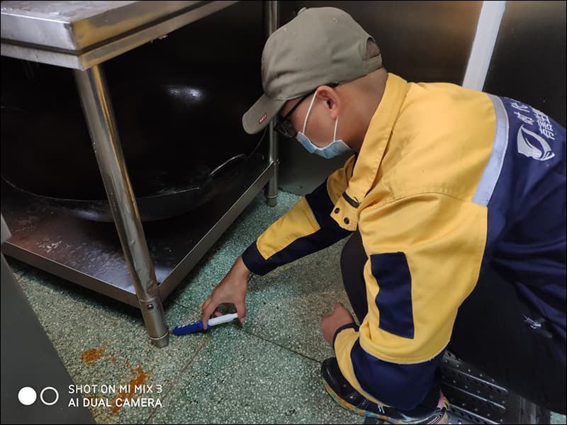 蟑螂防制